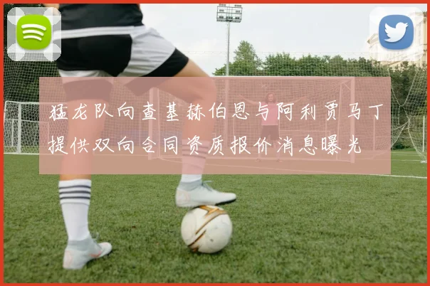 猛龙队向查基赫伯恩与阿利贾马丁提供双向合同资质报价消息曝光